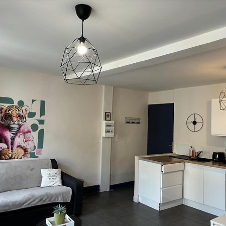 Spacieux, Climatise, Quartier Calme, Proche Chateau, Le Cocon De Joy Каркассонн Екстер'єр фото